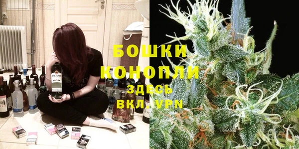 ECSTASY Майский
