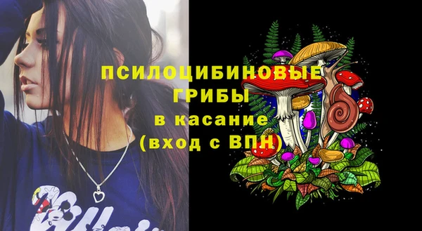 прущая мука Магас