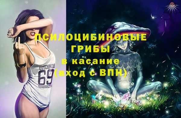 ECSTASY Майский