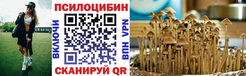 Псилоцибиновые грибы Cubensis  это состав  Миллерово 